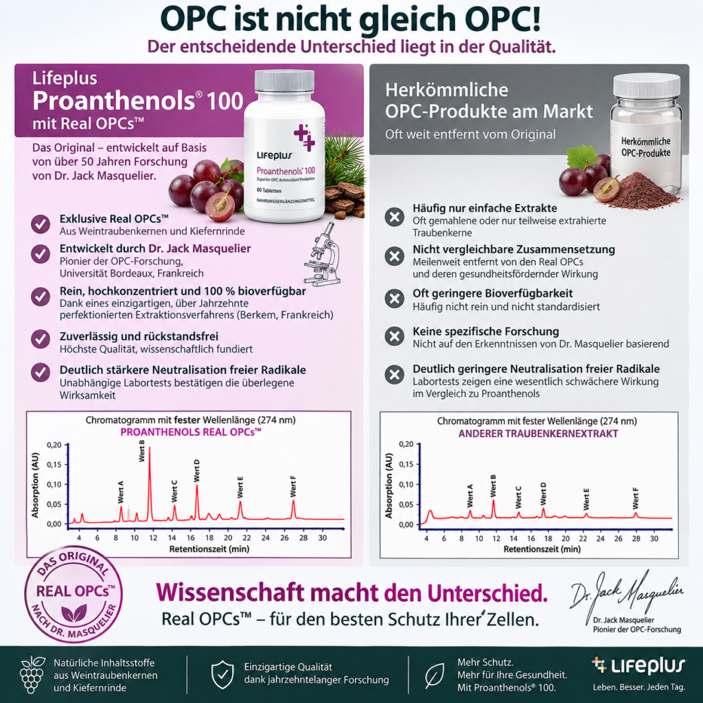Für wen der Gesundheitskompass geeignet ist